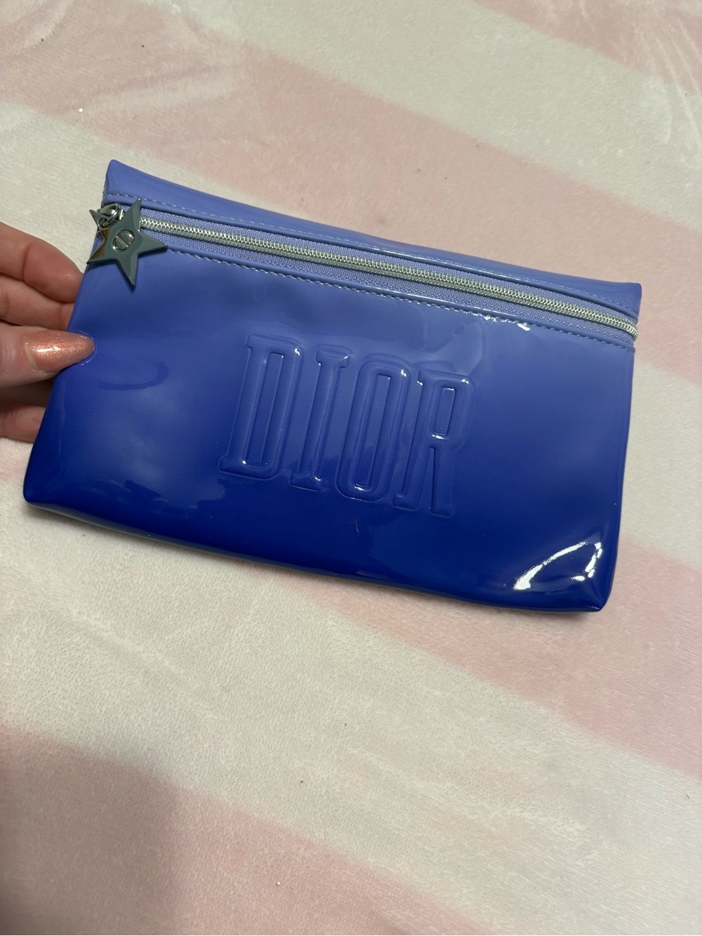Dior Cosmetic Pouch